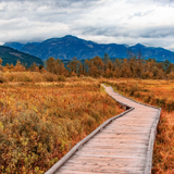 Events Not to Miss This Fall in the Sea to Sky (Pemberton, Whistler, Squamish, West Vancouver)
